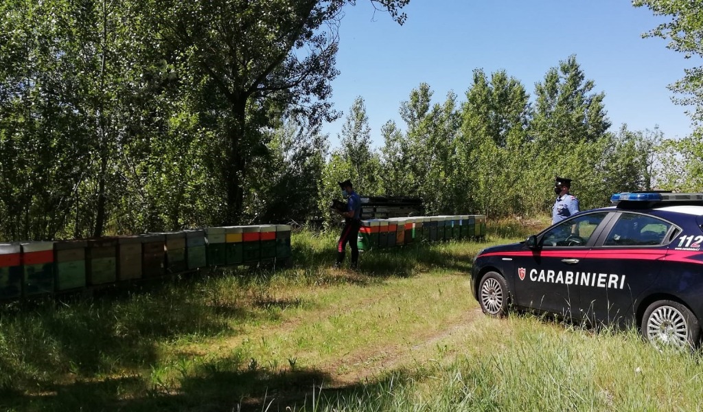 Sgominato traffico illecito di alveari: trafugate 43 arnie