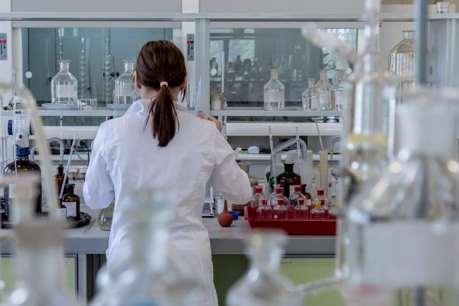 All’Università di Pavia oltre 6,5 milioni per cinque progetti sul cervello e sul comportamento