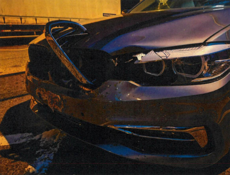 Automobilista pavese investe cerbiatto in autostrada: vivo per miracolo