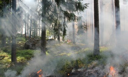 Appicca il fuoco a delle sterpaglie: denunciato 71enne