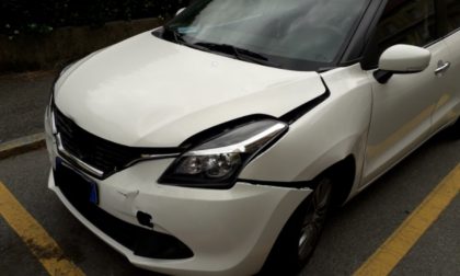 Automobilista pavese investe un capriolo in A1 e denuncia: "recinzioni di 1,20 metri non bastano"