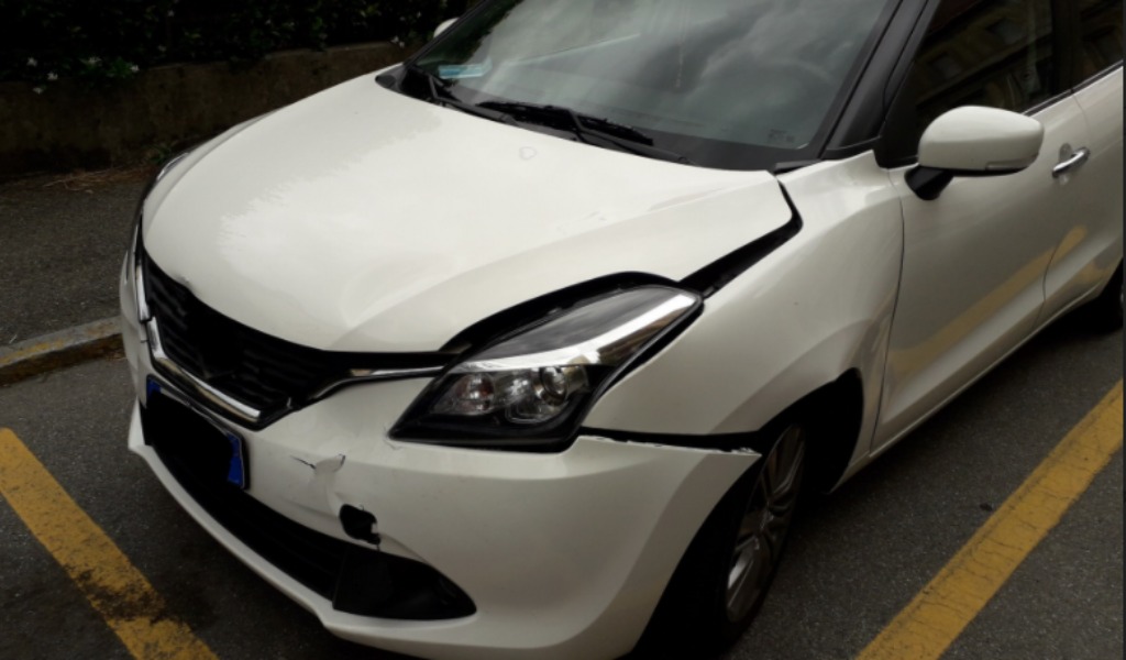 Automobilista pavese investe un capriolo in A1 e denuncia: “recinzioni di 1,20 metri non bastano”