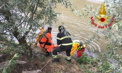 38enne precipita da un ponte, trovato morto dai sommozzatori dei Vigili del Fuoco