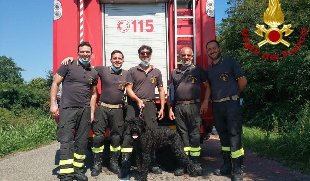 Cane in acqua salvato dai Vigili del Fuoco, angeli di umani e animali FOTO