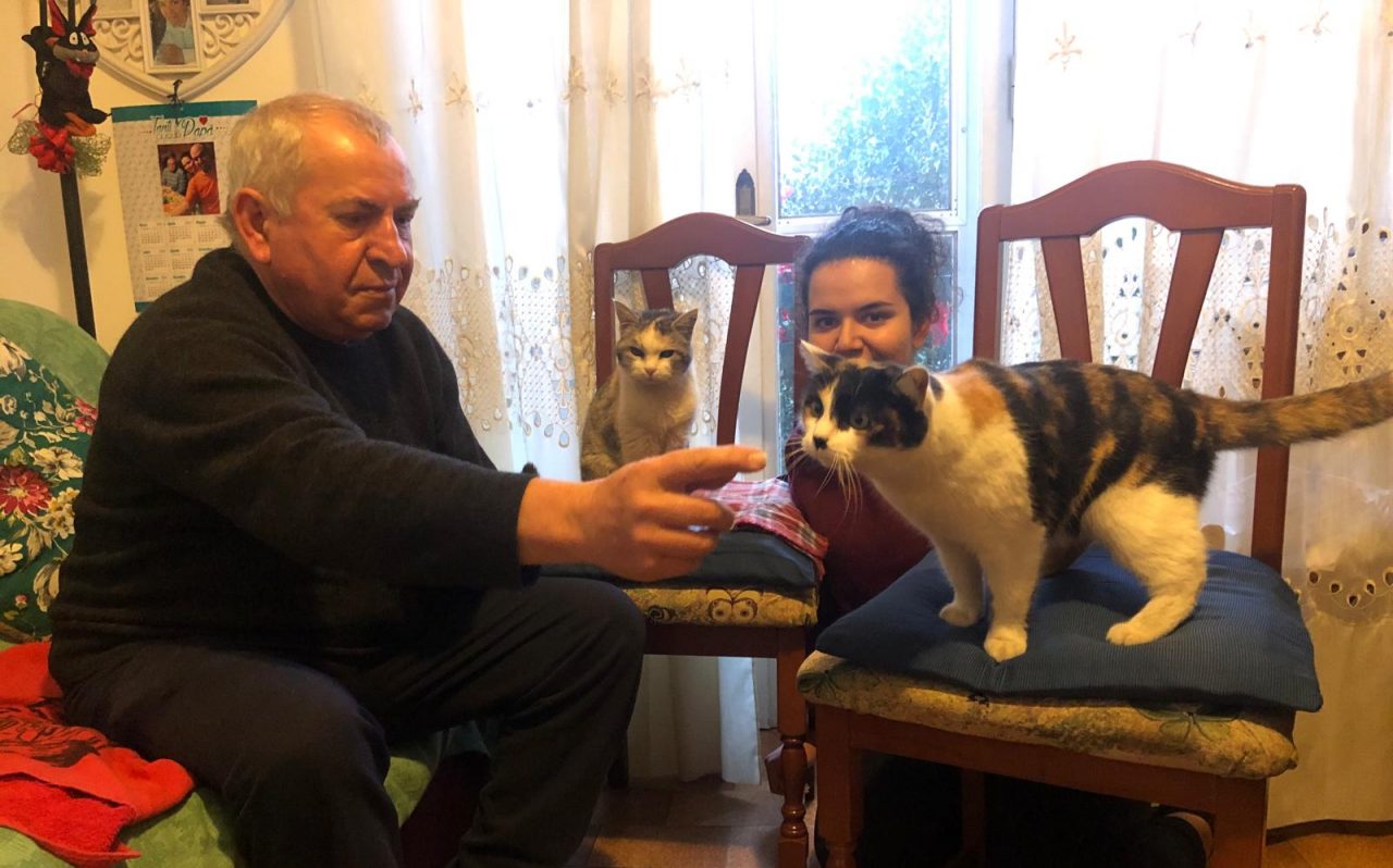 “Lilli”, una gatta di Cerro Maggiore, ha compiuto la bellezza di 25 anni. Felicità per il suo padrone Luciano Tesini e tutta la sua famiglia. “Lilli”, gatta da record “Lilli”ha compiuto ben 25 anni. E’ una gatta che, in zona (e non solo), probabilmente può vantare di essere la più longeva (il gatto più anziano del mondo è stato il texano “Cream Puff”, arrivato a ben 38 anni). Come riporta Prima Milano Ovest, il suo padrone Luciano Tesini di Cerro Maggiore che l’ha sempre accudita con amore da quando quella gattina è entrata a far parte della loro vita (aveva solo 3-4 mesi). E’ praticamente cresciuta insieme alla figlia Chiara o, meglio, l’ha vista crescere, perché è lei la più “grande” per età delle due (Chiara di anni ne ha 19). “Alla sera le piace ancora fare qualche passeggiata, ma dobbiamo stare attenti che non si allontani dal giardino perchè ha perso un po’ il senso dell’orientamento”, racconta Tesini. La gatta sta bene, è in forma. Ogni mattina la famiglia Tesini la vede entrare in stanza per mangiare. Dolce, affettuosa, adora stare sulla gambe dei suoi padroni per essere sempre coccolata». E in casa ha tanta compagnia: c’è un’altra gatta, “Melinda” (che di anni ne ha 7) e il simpatico meticcio “Rudy” («Giocano sempre insieme e Rudy è insaziabile nel voler divertirsi»). E ora si gode la sua vecchiaia sapendo di essere la “mascotte” di casa. Le foto: TORNA ALLA HOME