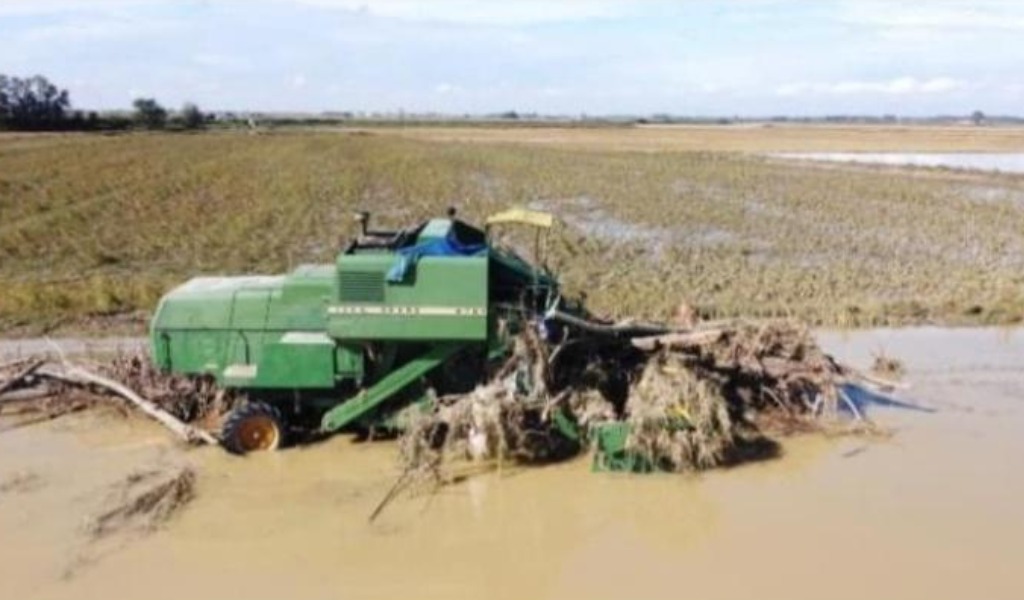Danni da maltempo, Cia Pavia: “Occorre coinvolgere agricoltori in piani di manutenzione”