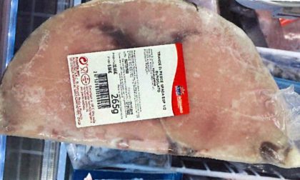 “Nel pesce c'è il mercurio”: Ministero Salute ritira tranci di spada surgelato
