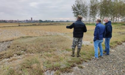 Maltempo e risaie allagate, Rolfi a Palestro: "Chiederemo stato di calamità"