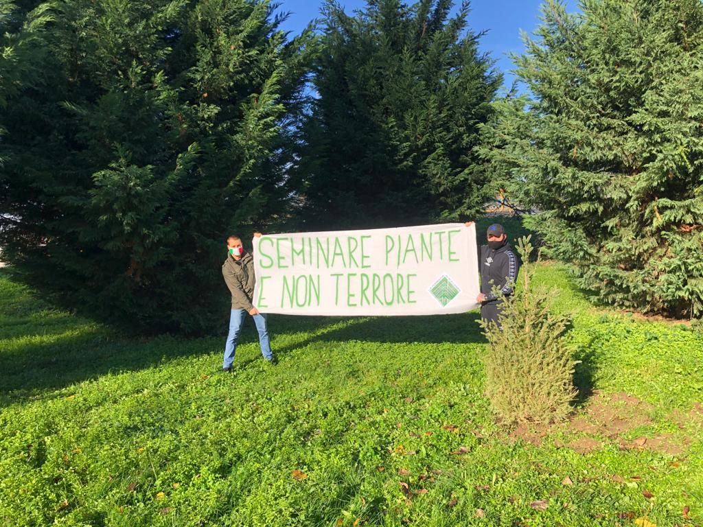 Foresta Che Avanza celebra l’annuale Festa dell’Albero nonostante il Covid: “Seminiamo piante non terrore”