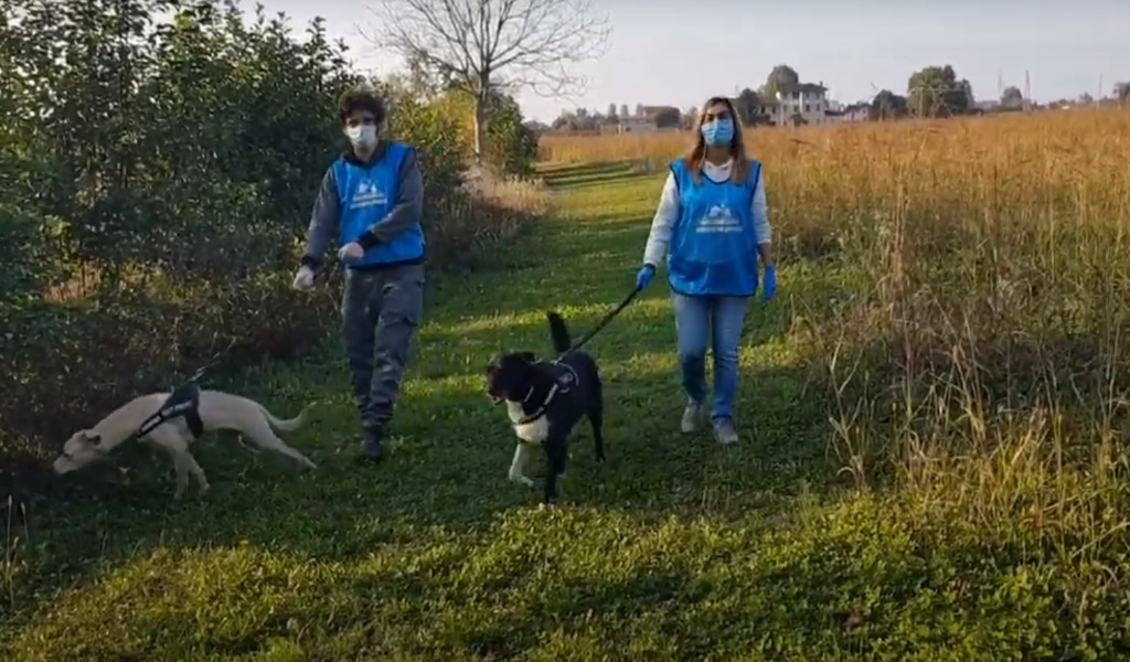 Covid e animali: 200 cuccioli presi in carico dai volontari dei padroni malati STORIE DI SOLIDARIETA’ – VIDEO
