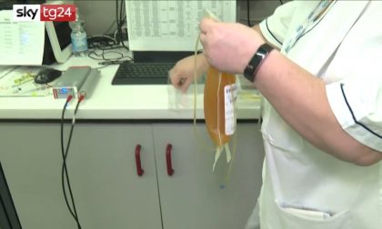 Plasma iperimmune, continua la raccolta al San Matteo: ma chi può donare?