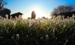 Sole, velature di passaggio e prime gelate notturne | Meteo Lombardia