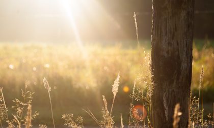 Dopo un po' di pioggia tornano sole (e nebbie) | Meteo Lombardia