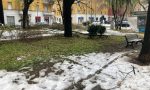 Disastro neve a Voghera: "La sindaca Garlaschelli? Scaricabarile!"