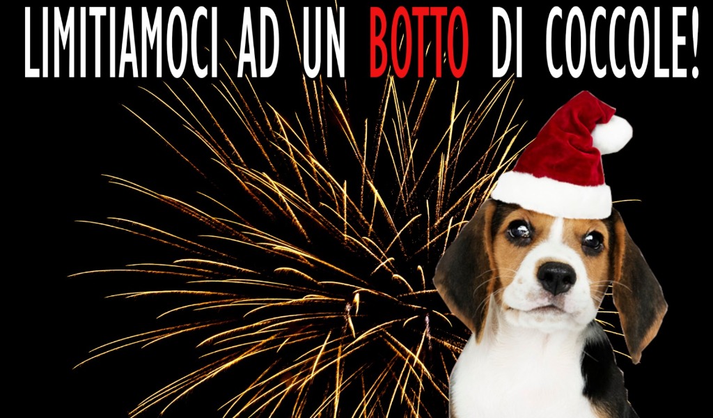 Notte di Capodanno, a Pavia vietati fuochi artificiali e petardi