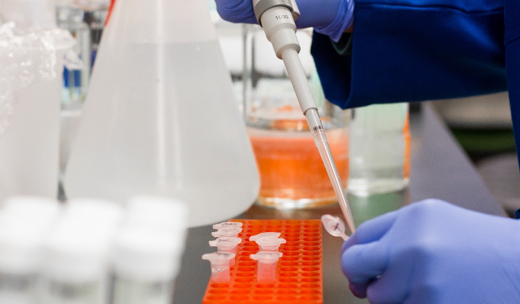 Nuovo anticorpo che protegge dal Covid e dalle sue varianti: lo studio del San Matteo