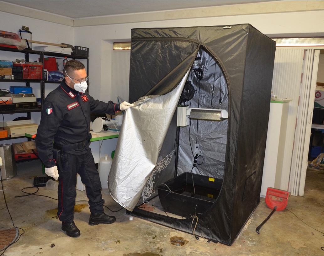 In auto un etto di marijuna, a casa una serra e un laboratorio artigianale: arrestato
