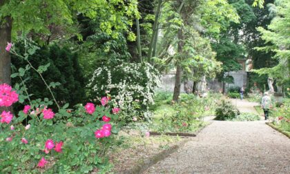 Aria di ripartenza, riapre al pubblico anche l'Orto botanico di Pavia