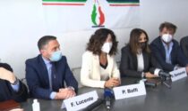 Dal Pd a Italia Viva e ora Fratelli d’Italia: nuovo cambio di bandiera per Patrizia Baffi