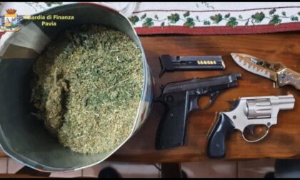 Vendevano droga e armi tra Zinasco e Pavia, 9 arresti: il video delle 4 piantagioni di marijuana sequestrate