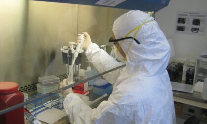 CovidArray: il test capace di identificare il SARS-CoV-2 nei tamponi con una nuova tecnologia