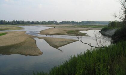 Volontari Plastic Free puliranno il fiume Po dai rifiuti, anche in provincia di Pavia