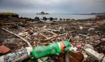 #unPOprimadelmare: per ripulire dalla plastica le rive del Ticino, si cercano volontari