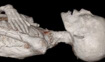 Online le autopsie (virtuali) delle mummie del Museo di Archeologia dell’Università di Pavia