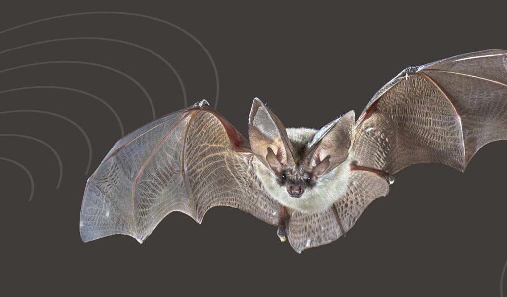 Notte Europea dei Musei: Kosmos aperto fino alle 23