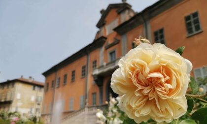 L'Orto botanico di Pavia ad agosto resta "aperto per ferie"