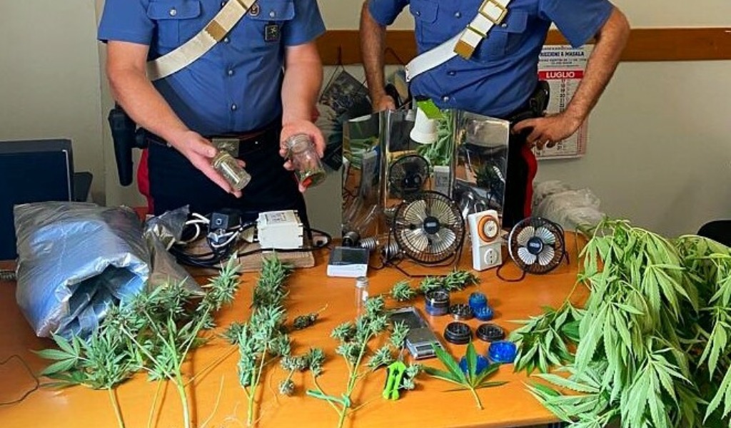 Nell’orto coltivavano pomodori, zucchine e.. marijuana 