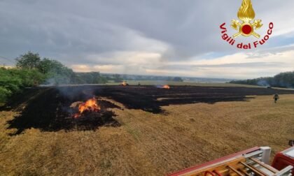Incendi di sterpaglie in campagna: i Vigili del Fuoco in azione