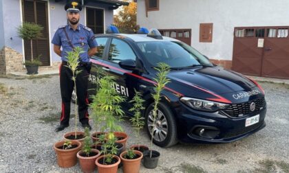 Sorpreso dai Carabinieri mentre annaffia le sue piante.... di marijuana
