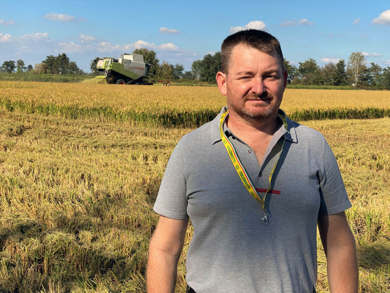 Scatta in ritardo la raccolta del riso: -10% di produzione anche in provincia di Pavia