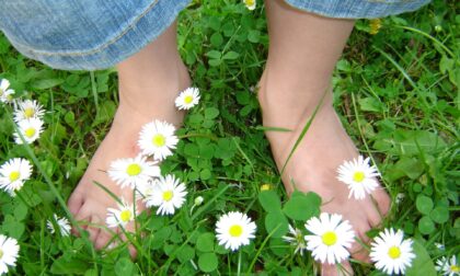 Vivere green a Pavia! La riqualificazione ambientale delle aree verdi