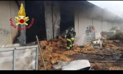 Incendio nel canile di San Genesio: distrutto un capannone