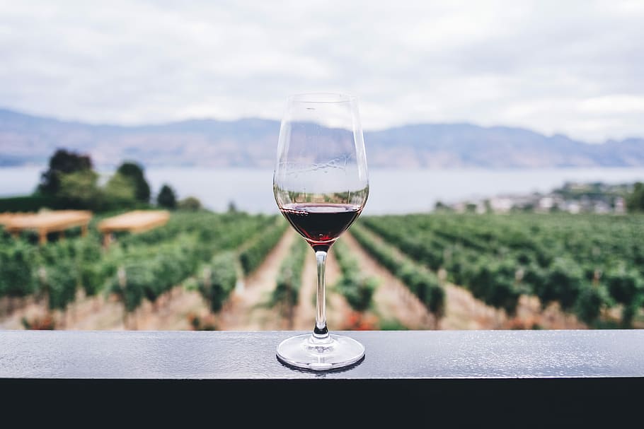 Wine Roads fa tappa a Canneto Pavese, una giornata di enogastronomia e sport