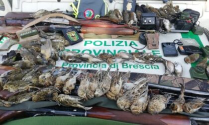 Da Brescia a Pavia per abbattere fauna protetta, cacciatori denunciati