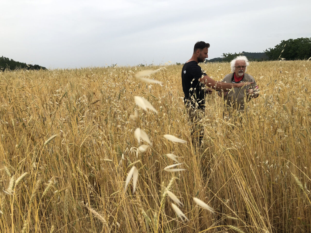 Nella seconda puntata di Slow Tour Padano Patrizio Roversi fa tappa in Oltrepò Pavese