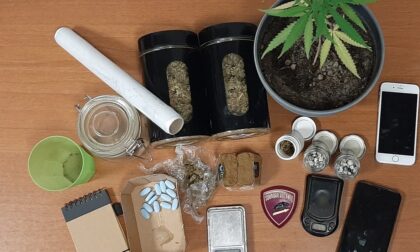 In camera da letto marijuana, hashish, funghi allucinogeni e pasticche: arrestato