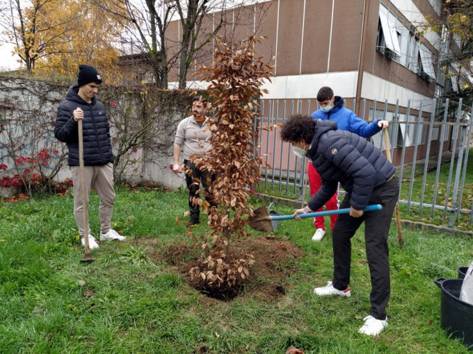Giornata dell’albero, a Broni messa a dimora una nuova pianta davanti al Liceo Scientifico