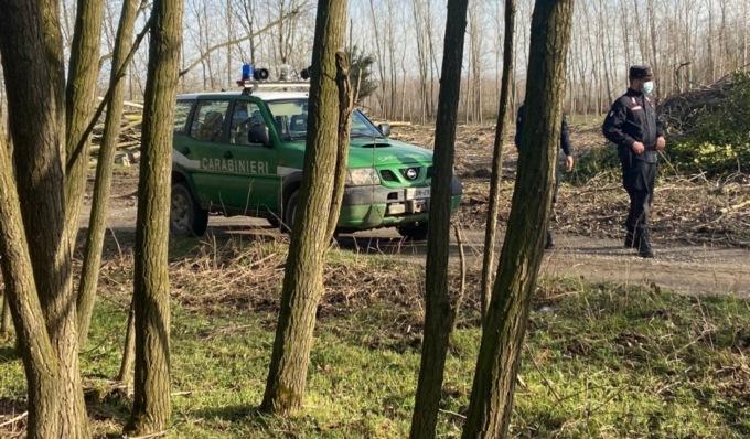 Operazione antibracconaggio, sequestrate 81 allodole utilizzate come richiami vivi