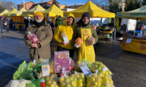 Pavia: raccolti cinque quintali e mezzo di cibo grazie alle "spese sospese"