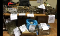 Traffico di stupefacenti tra l'Italia, Hong Kong e il Marocco: sequestrati 720 chili di droga