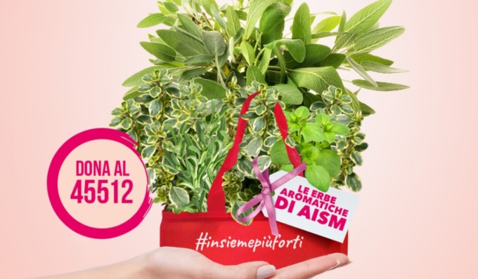 Le “Erbe Aromatiche” di AISM per aiutare le donne con sclerosi multipla