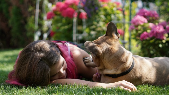 “Bonus amici fedeli”, a Pavia un contributo per le prestazioni veterinarie