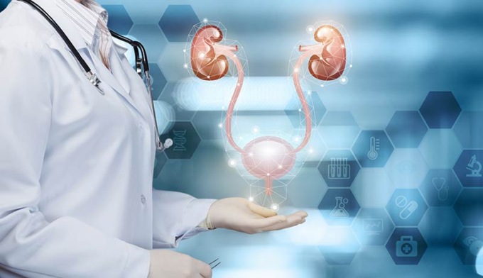 Tumore alla prostata: al San Matteo visite urologiche gratuite per gli uomini over 50