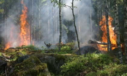 Aria secca e temperature in aumento, è allerta incendi boschivi anche in Oltrepò