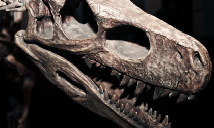 Se Fossi un Dinosauro