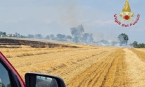A fuoco sterpaglie e un campo di grano: arrivano i Vigili del Fuoco